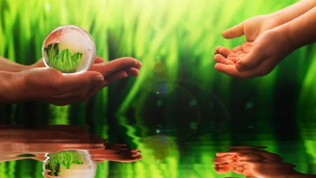 Durabilité et Préservation de l'Environnement